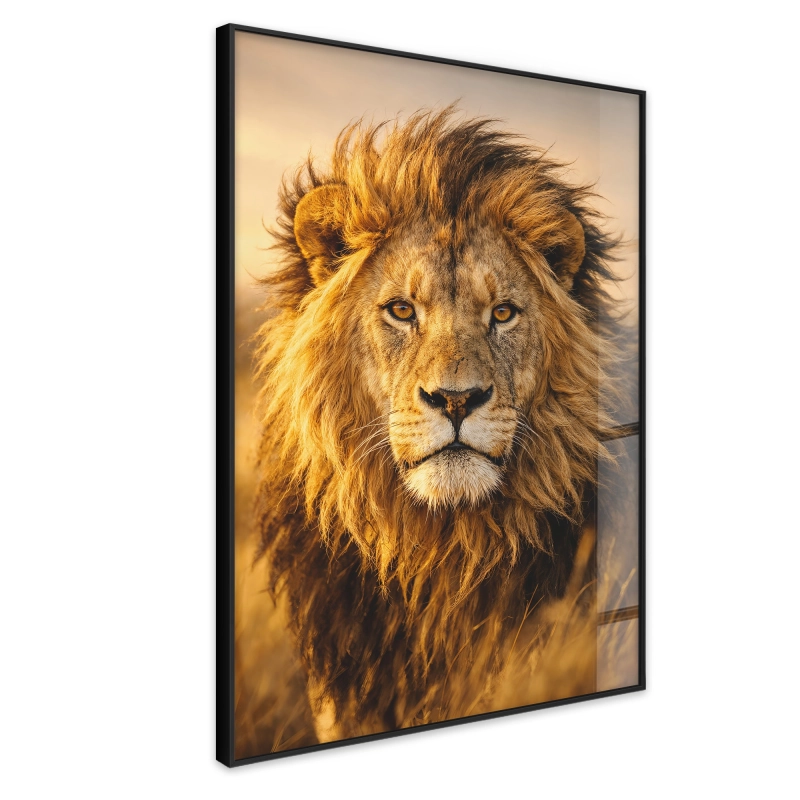 Quadro Decorativo Leão Majestoso