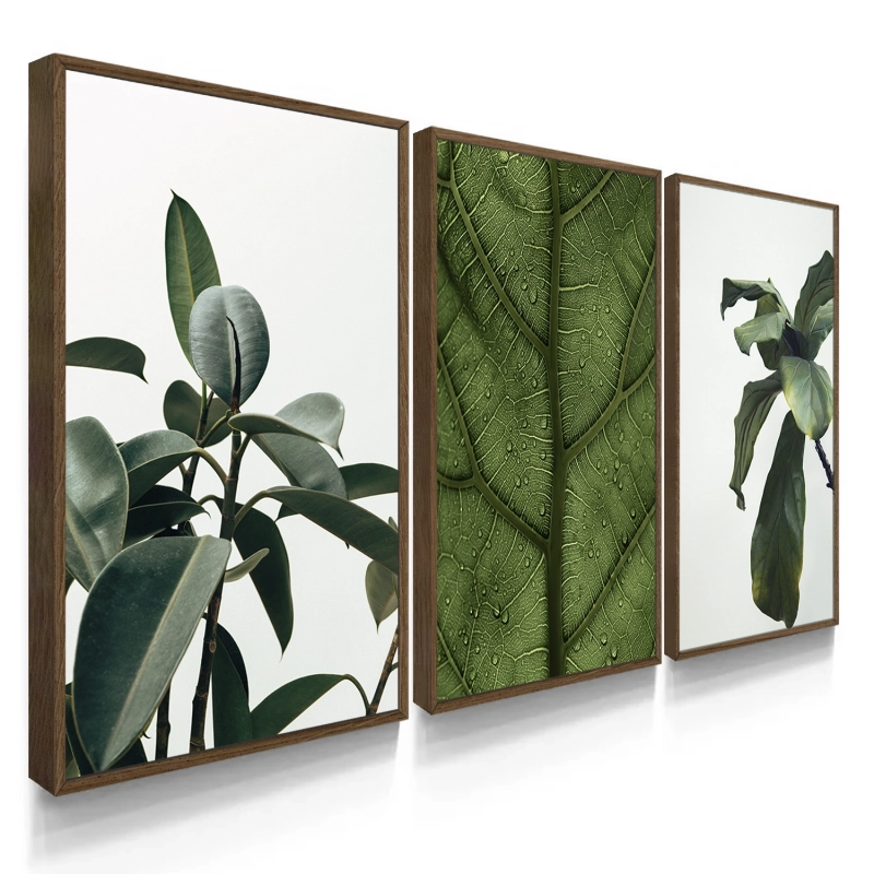 Quadro Decorativo Plantas Verdes Quadro Decorativo Plantas Verdes