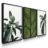 Quadro Decorativo Plantas Verdes