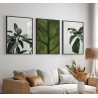 Quadro Decorativo Plantas Verdes