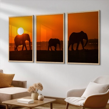 Quadro Decorativo Elefantes Deserto