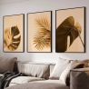 Quadro Decorativo Costela Adão Ouro