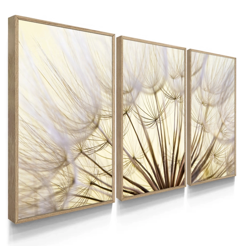 Quadro Decorativo Dente de Leão Claro Quadro Decorativo Dente de Leão Claro
