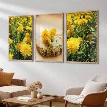 Quadro Decorativo Dente de Leão Flor