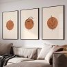 Quadro Decorativo Boho Formas Botânicas
