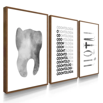 Quadro Decorativo Profissão Dentista