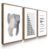 Quadro Decorativo Profissão Dentista