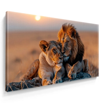Quadro Decorativo Canvas Casal Leão Leoa