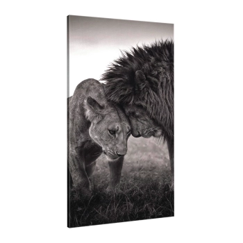 Quadro Decorativo Canvas Casal de Leões Preto e Branco