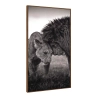 Quadro Decorativo Canvas Casal de Leões Preto e Branco
