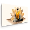 Quadro Decorativo Canvas Monge e Lotus
